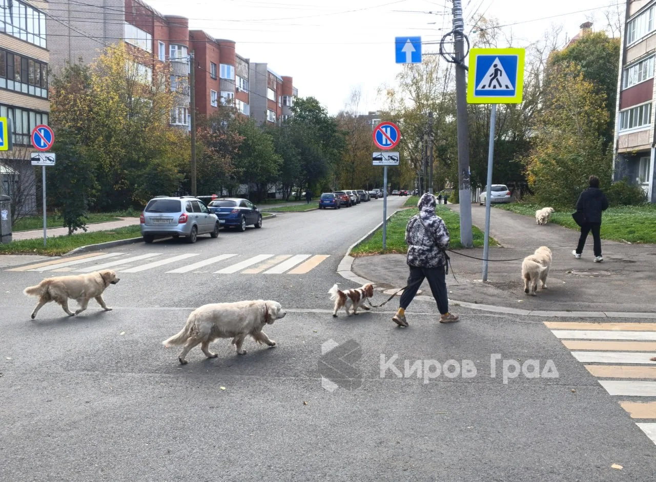 Хвостатого агрессора можно найти по фото