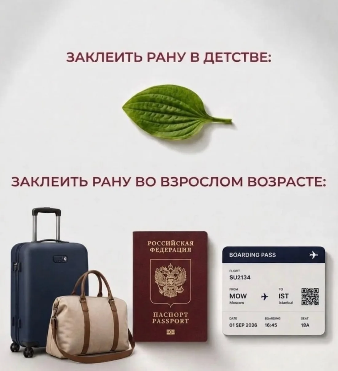 Работает 💯 %