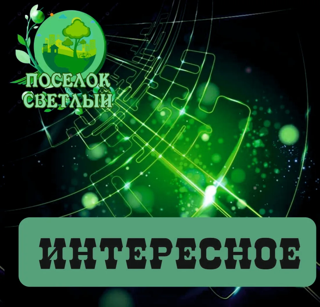 🗑 Новый регоператор будет вывозить мусор в Томске и пригороде в 2027г.