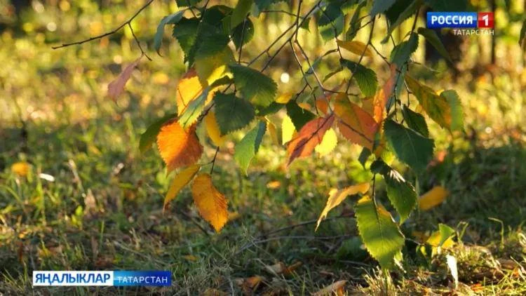 В Татарстане 13 октября потеплеет до +23 градусов