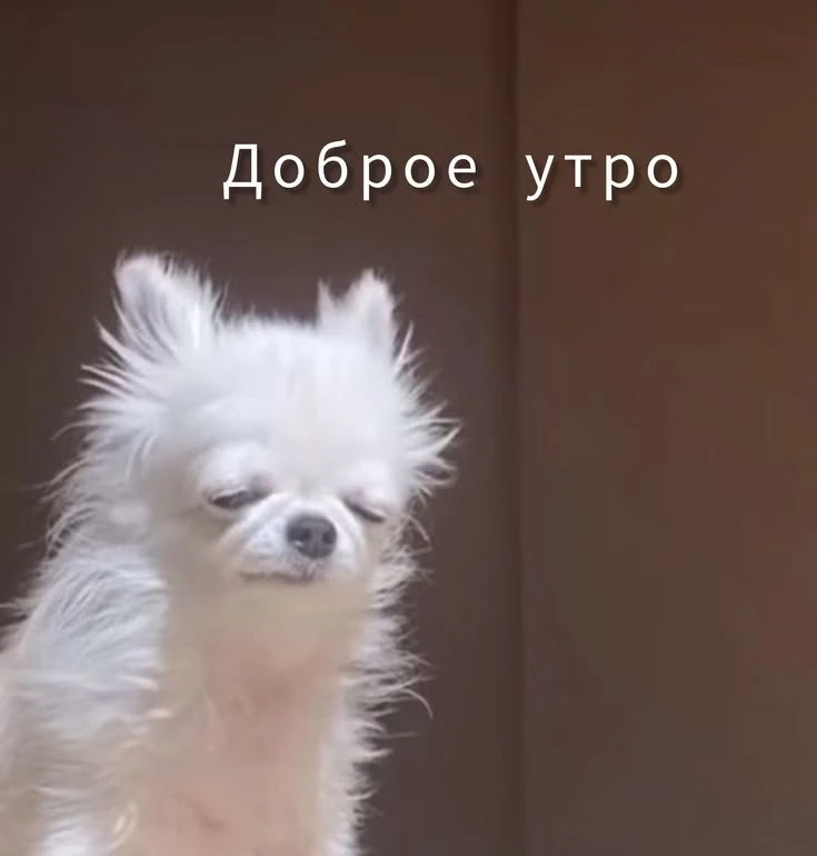 Всем работягам доброго утра и хорошего дня! 👍