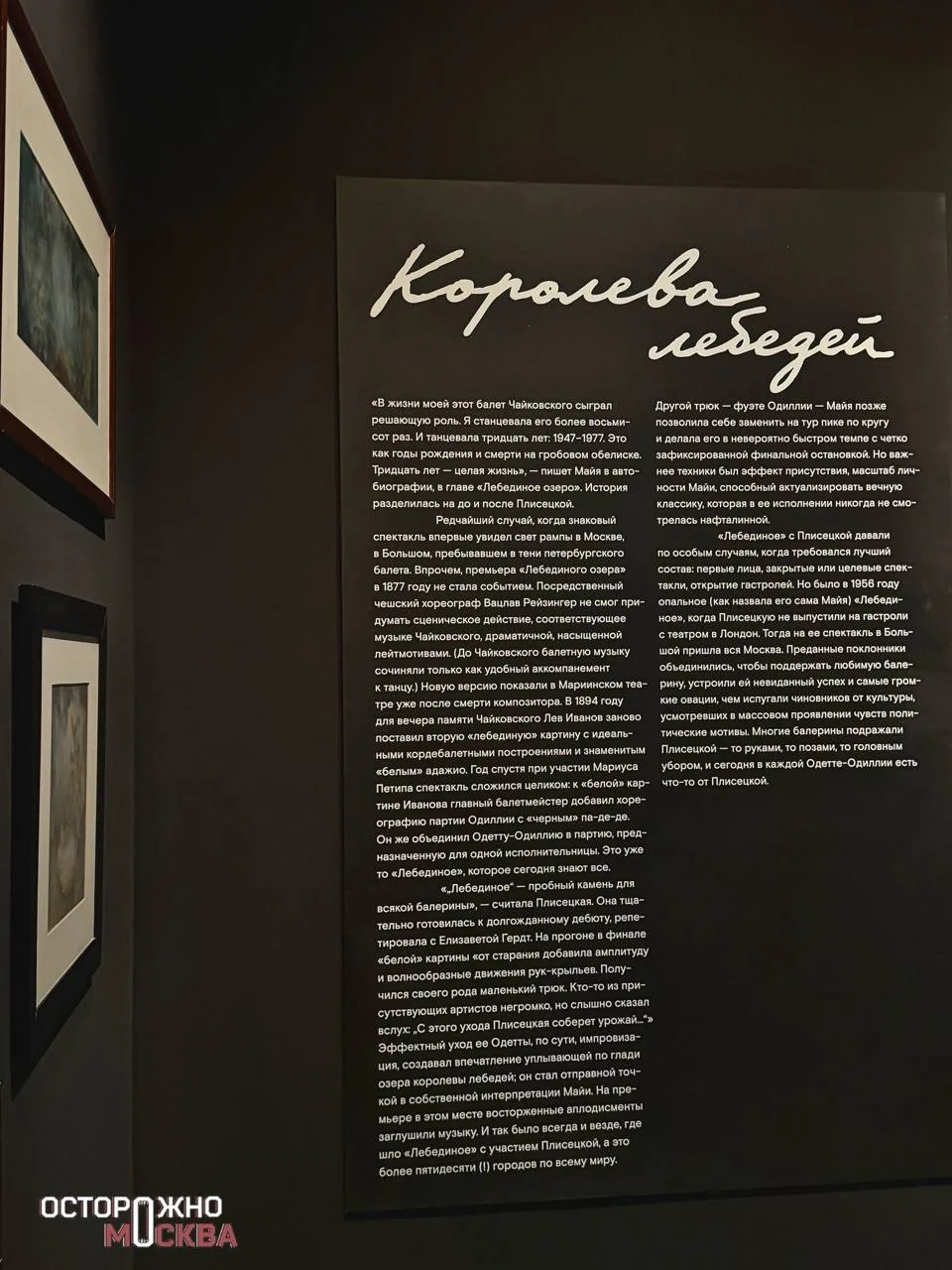 Королева лебедей. Выставка «Век Майи Плисецкой» открылась в Еврейском центре толерантно...