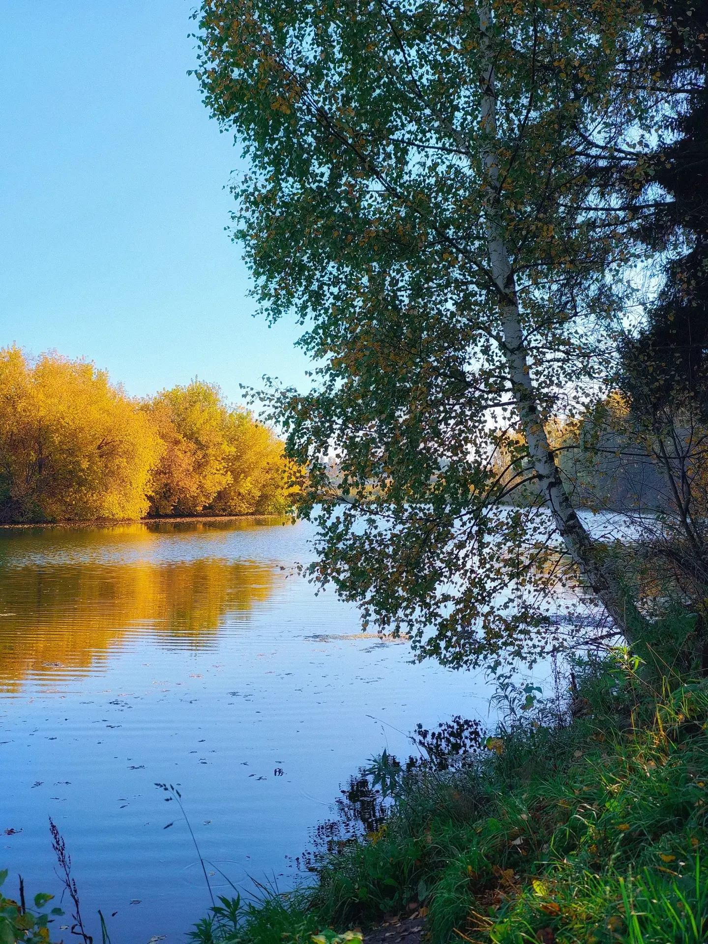 🍂 Осень — прекрасная пора. Она учит нас находить красоту в простом: в шорохе листьев, ...