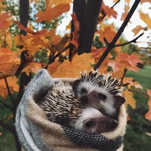Доброе утро, курмышане!
