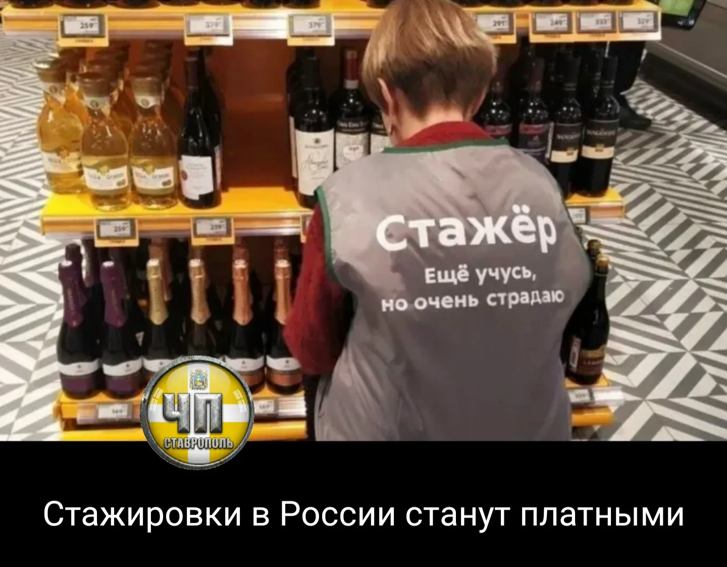 ⚡С 1 марта 2027 года работодателей планируют обязать оформлять стажировки официально: п...