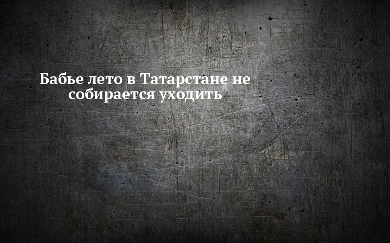 🍂 В Менделеевске термометры покажут +22