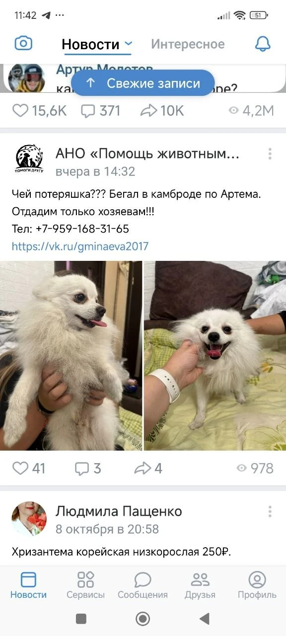 Потерял - Нашёл подписаться