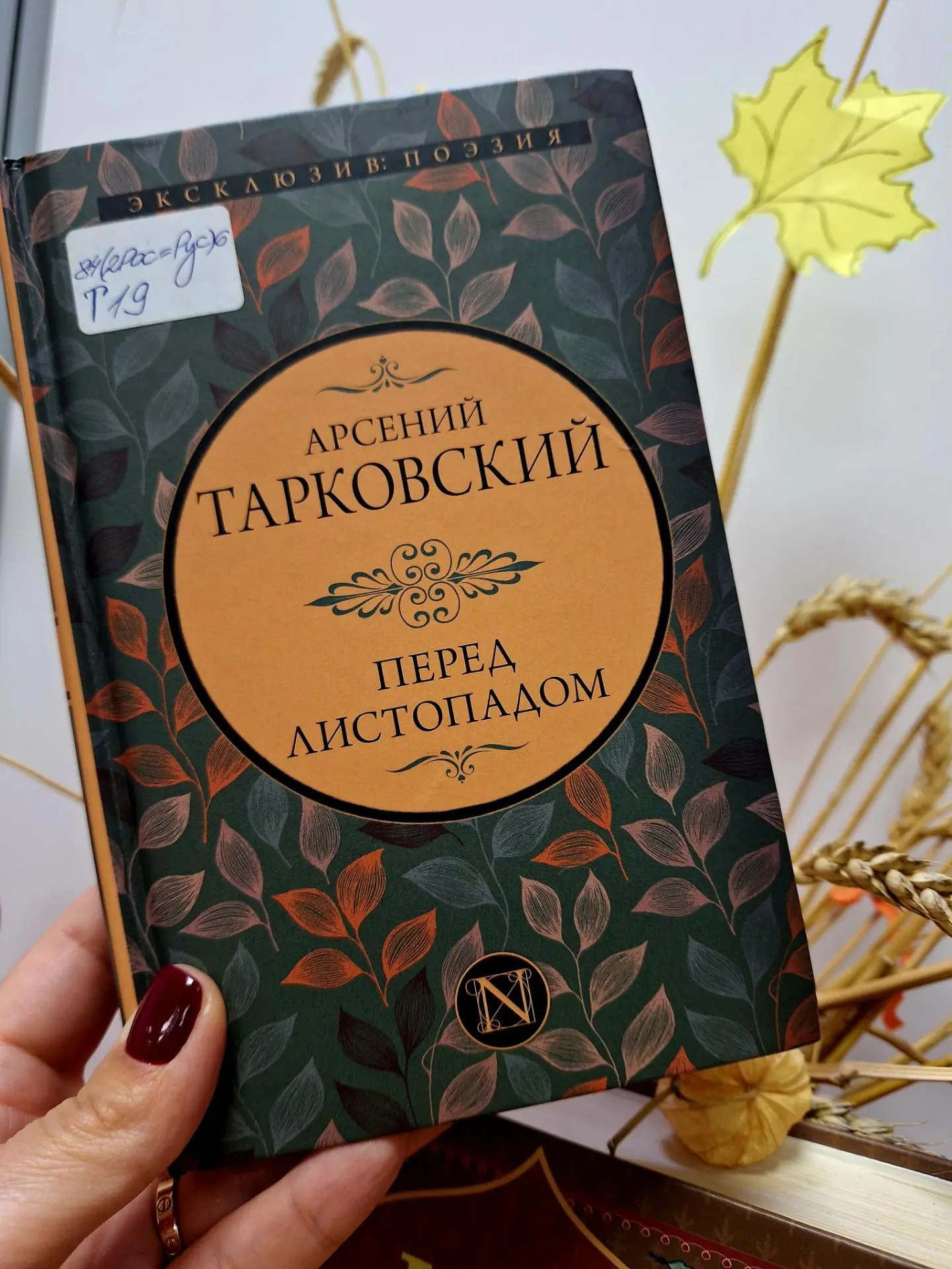 #поэтическаяминутка