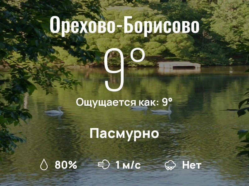 Что с погодой в Орехово-Борисово?