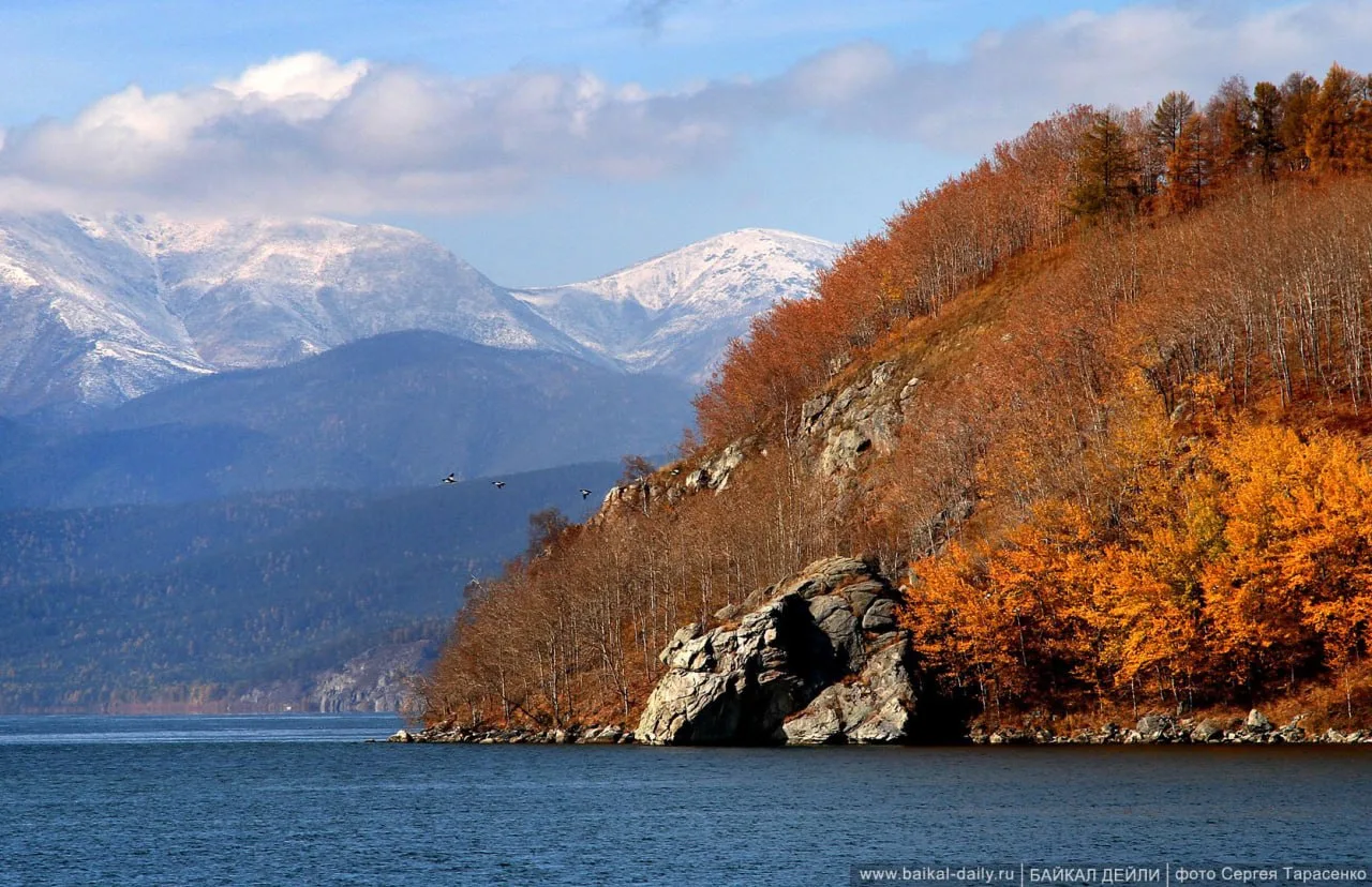 Доброе субботнее утро 🍂