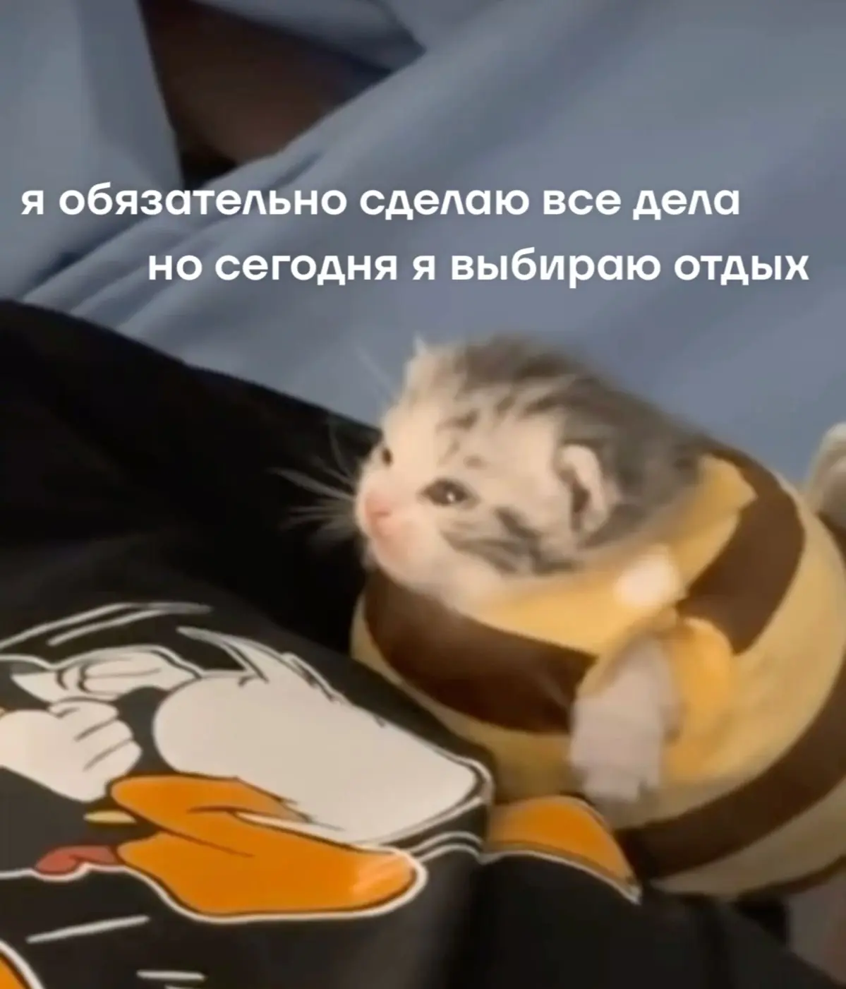Всем доброй ночи ❤️🫶