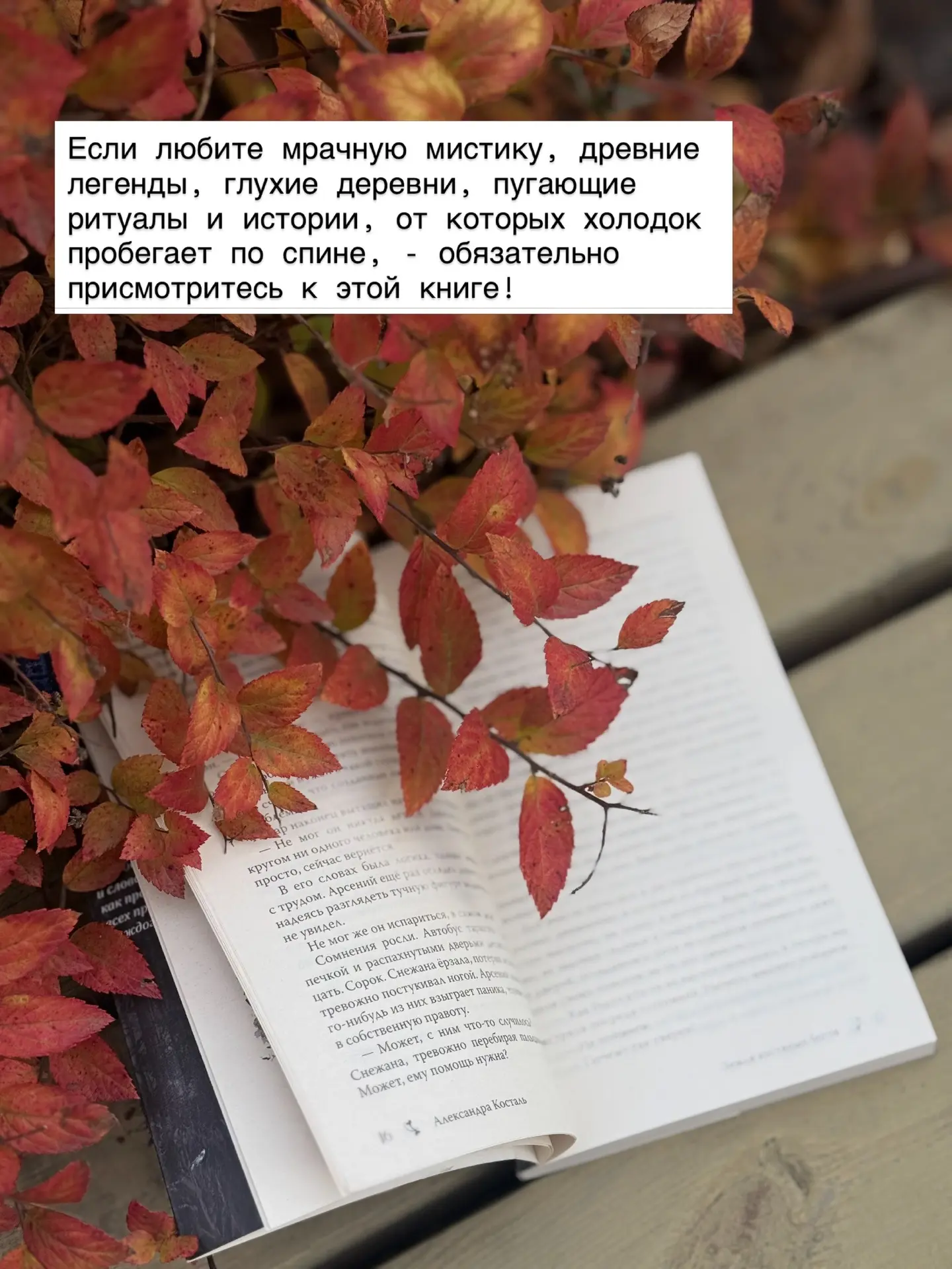 Представьте: глухая деревня, вековые леса, древние боги, кровавые ритуалы и ощущение, ч...