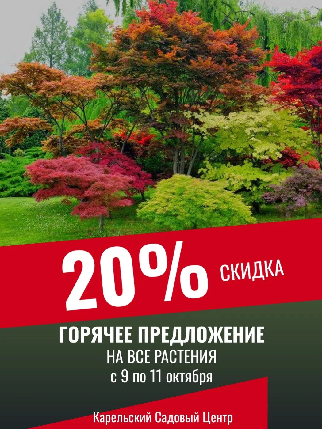 🔥 ЭКСКЛЮЗИВНАЯ РАСПРОДАЖА — СКИДКА 20% НА ВСЕ САДОВЫЕ РАСТЕНИЯ!