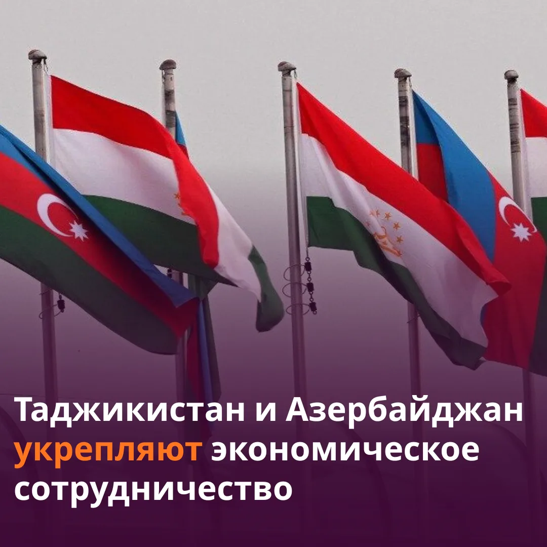 🇹🇯💼🇦🇿 Таджикистан и Азербайджан укрепляют бизнес-партнерство.