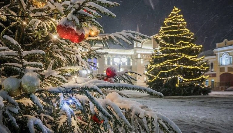 🌲Елочка, найдись! В Рыбинске ищут красивые хвойники - вам мешают, а городу пригодятся.