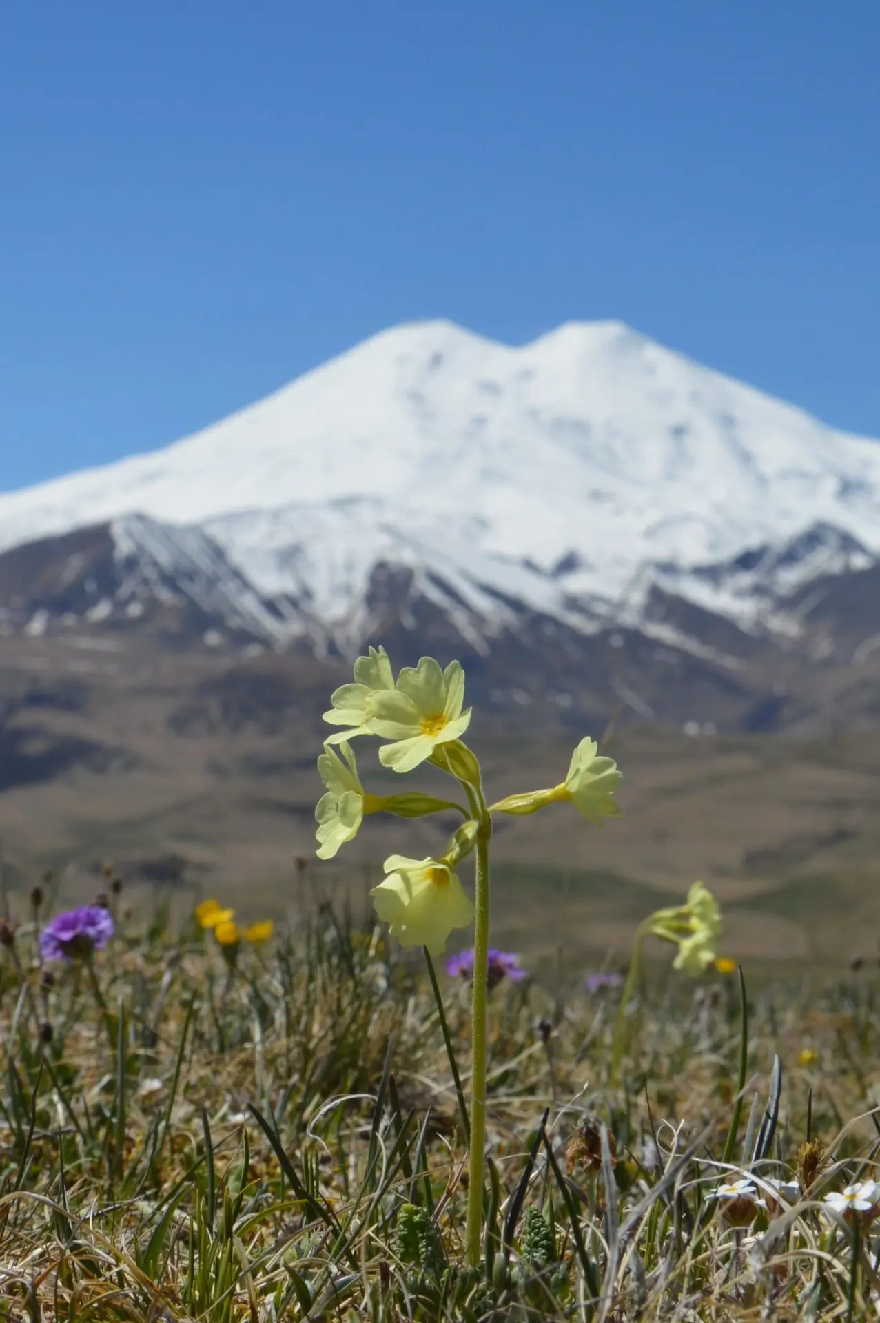 🏔Красивый Кавказ ждёт тебя!!
