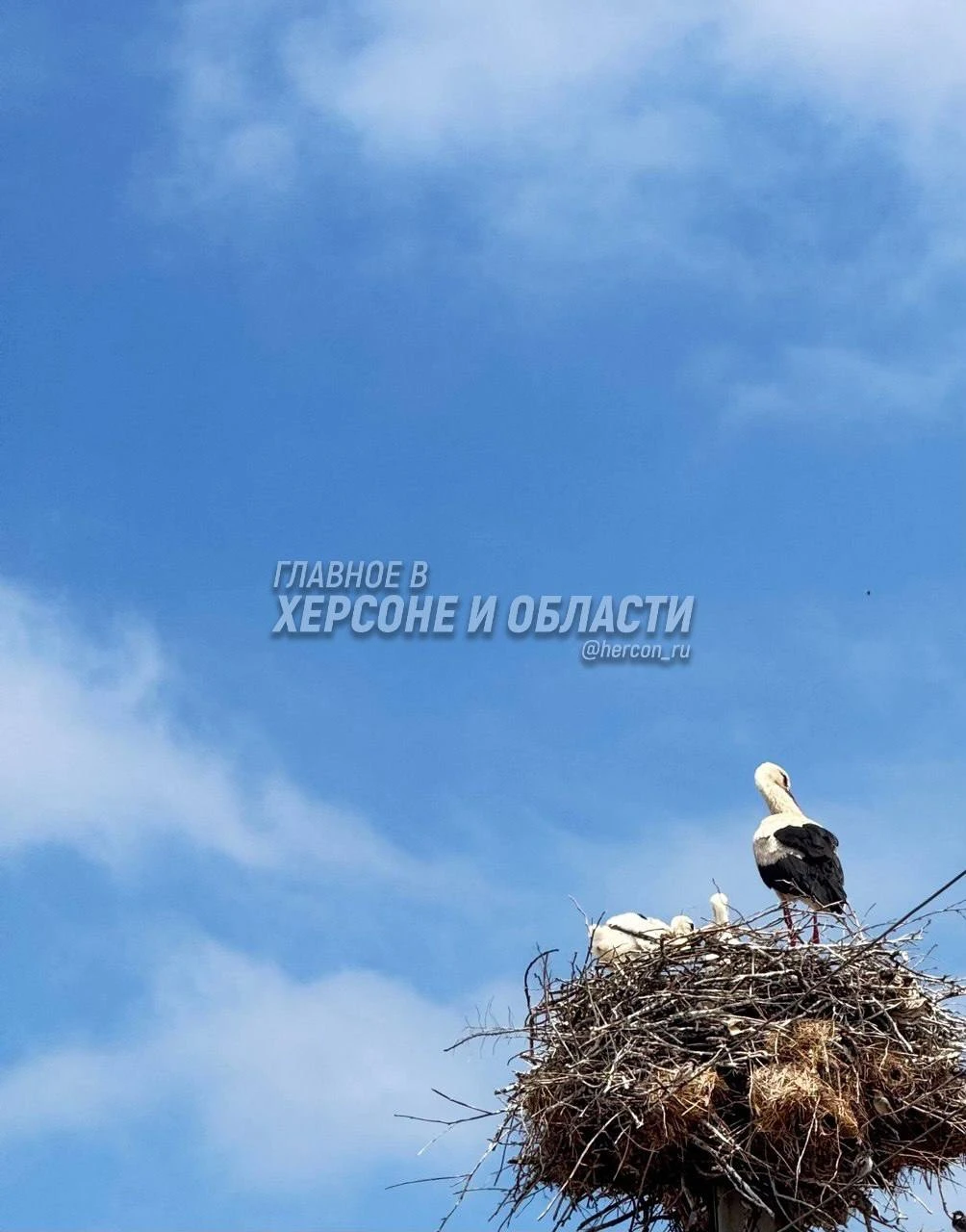 Символ жизни в лазурной вышине
