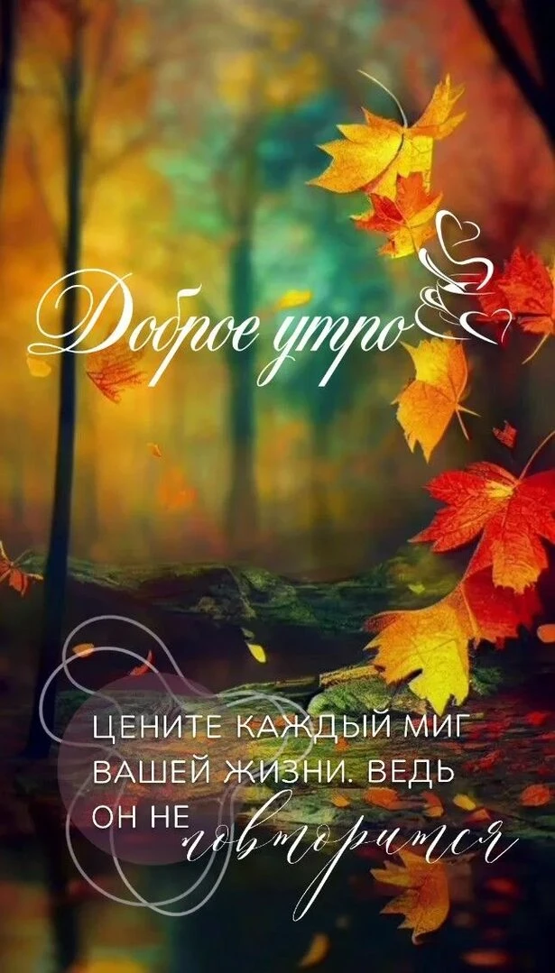 Пусть утренний позитивный настрой подарит замечательный день.🍁🍂☕️