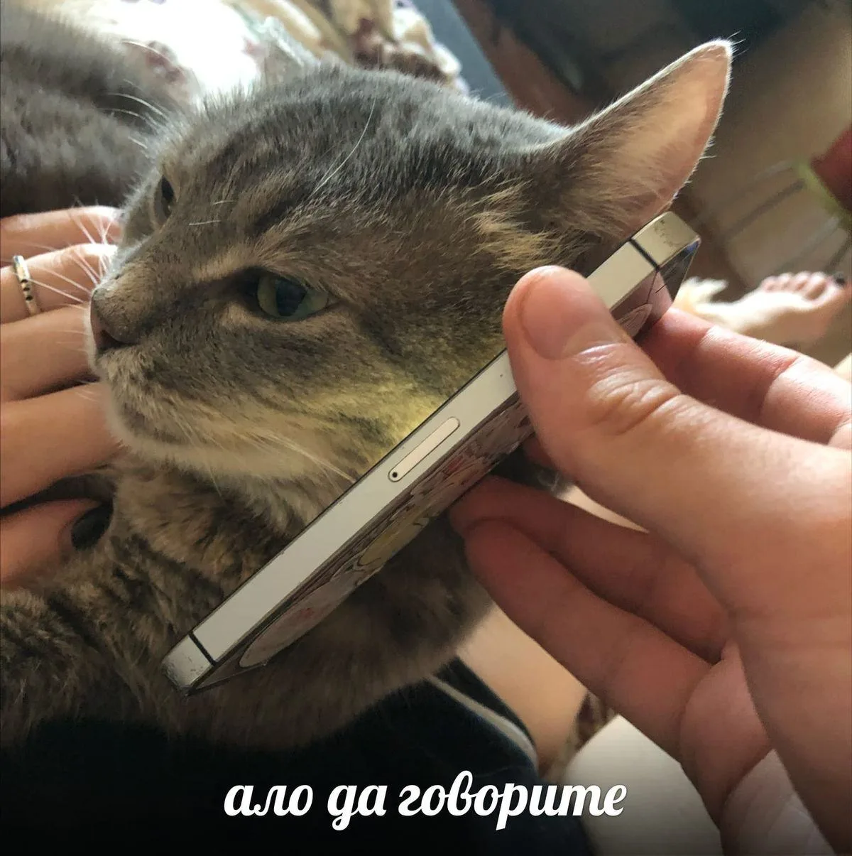 📱 Big Geek: минус 300 рублей на крупный заказ