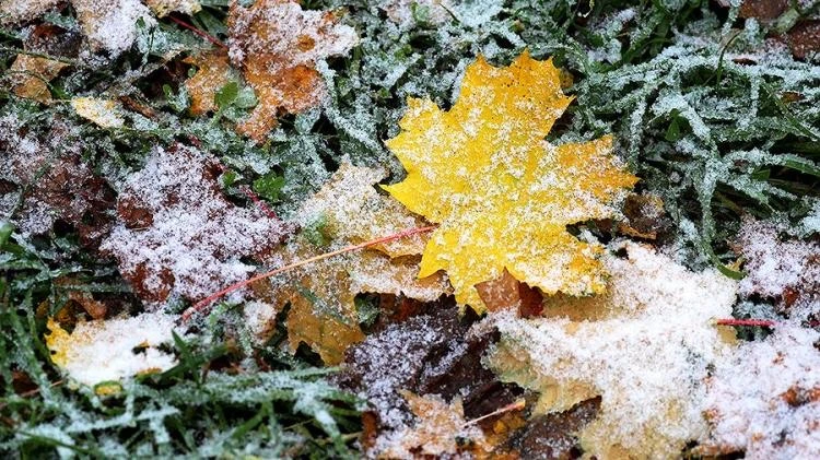 🌨 Первый снег в Москве и Зеленограде ожидается уже 20 октября