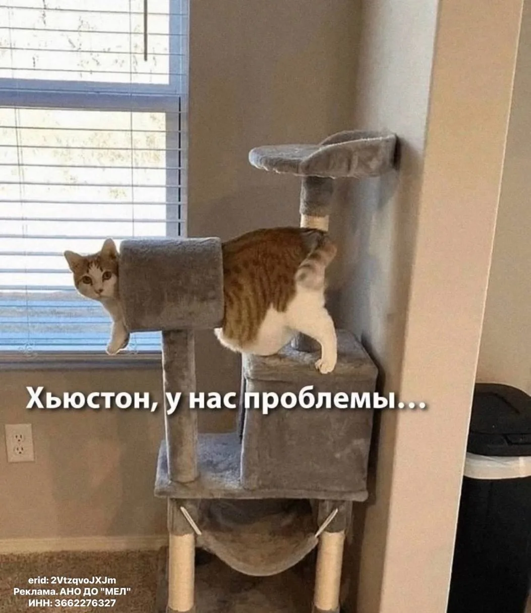 С помощью методики умного фитнеса, в домашних условиях можно быстро и легко убрать нена...