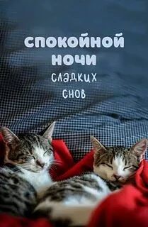 Спокойной ночи! Пусть четверг будет лёгким, а пятница — приятным завершением недели. 😊