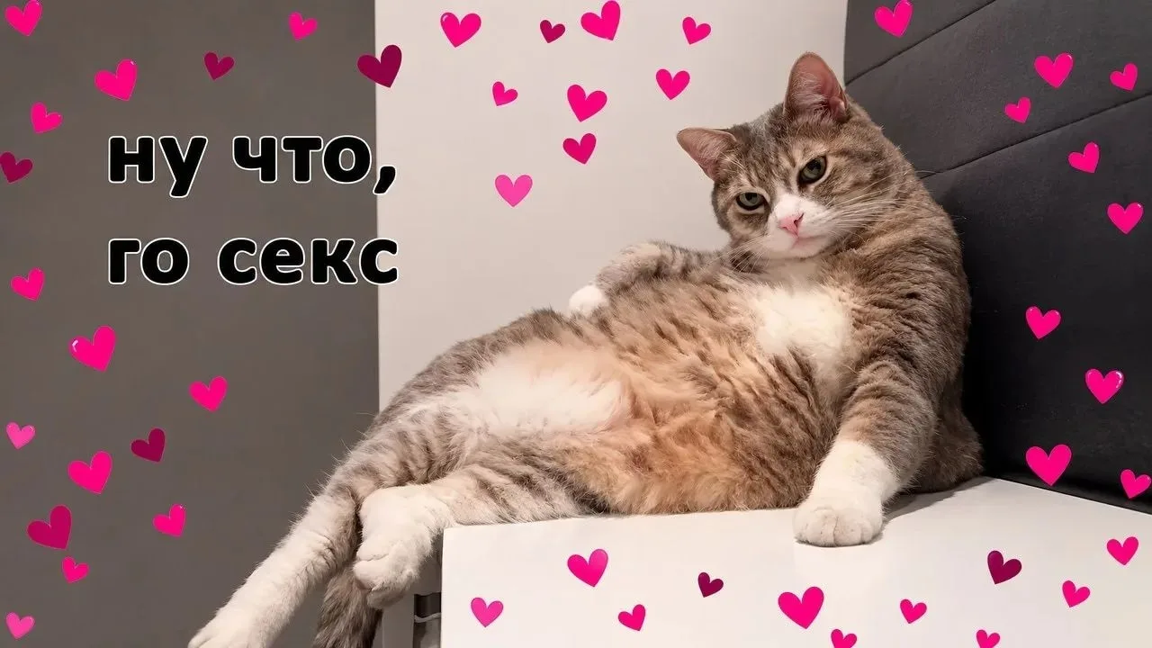 🥳 Сегодня отмечается Международный день согласия на секс 💟