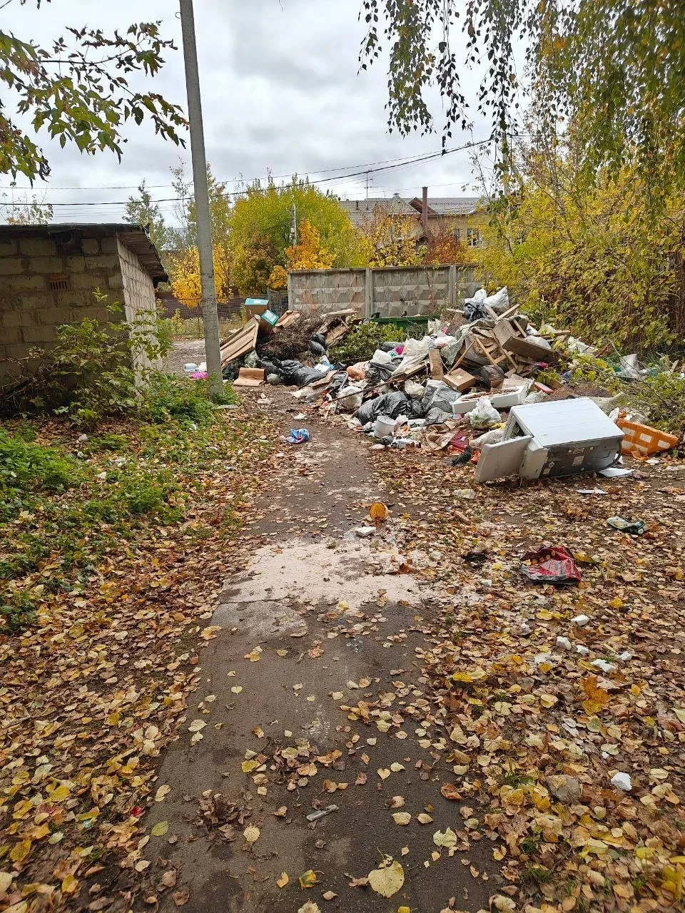 🚧 В Кратове на улице Мира переполнены мусорные баки