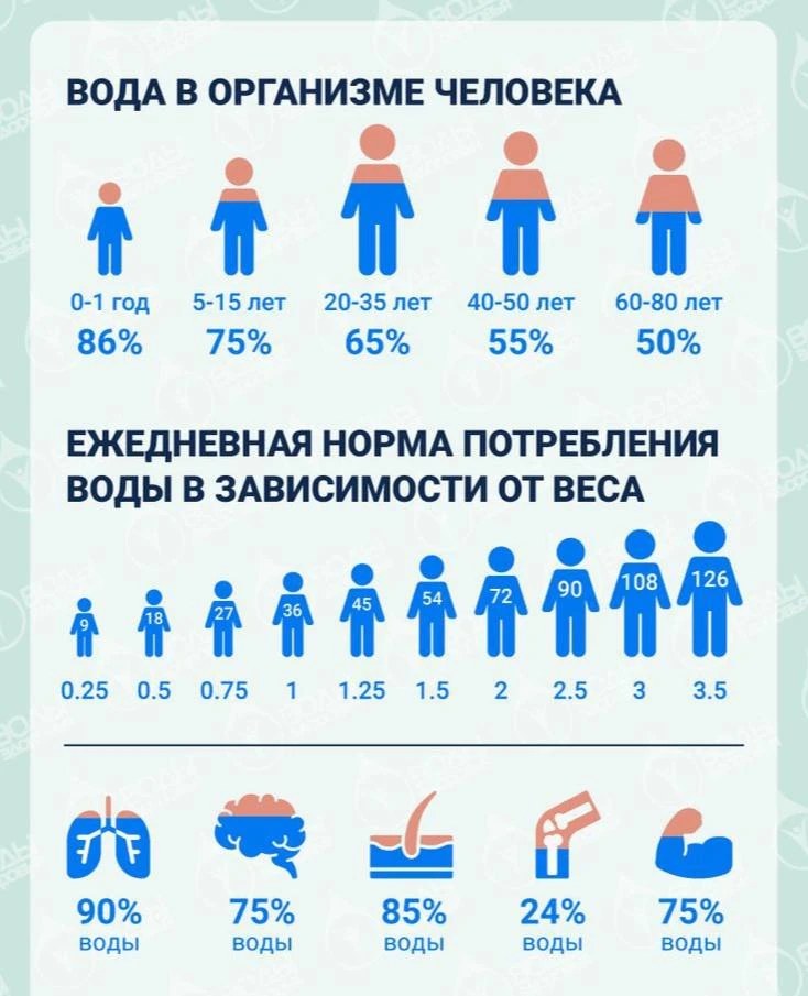 Гайд по воде.