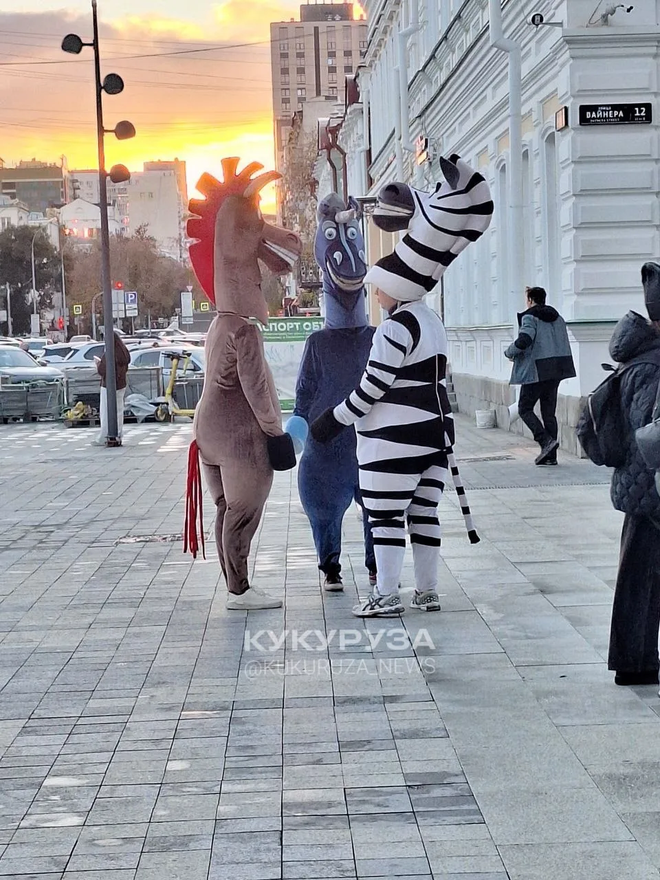 Парнокопытные скамеры зарабатывают на фотках в центре Екб
