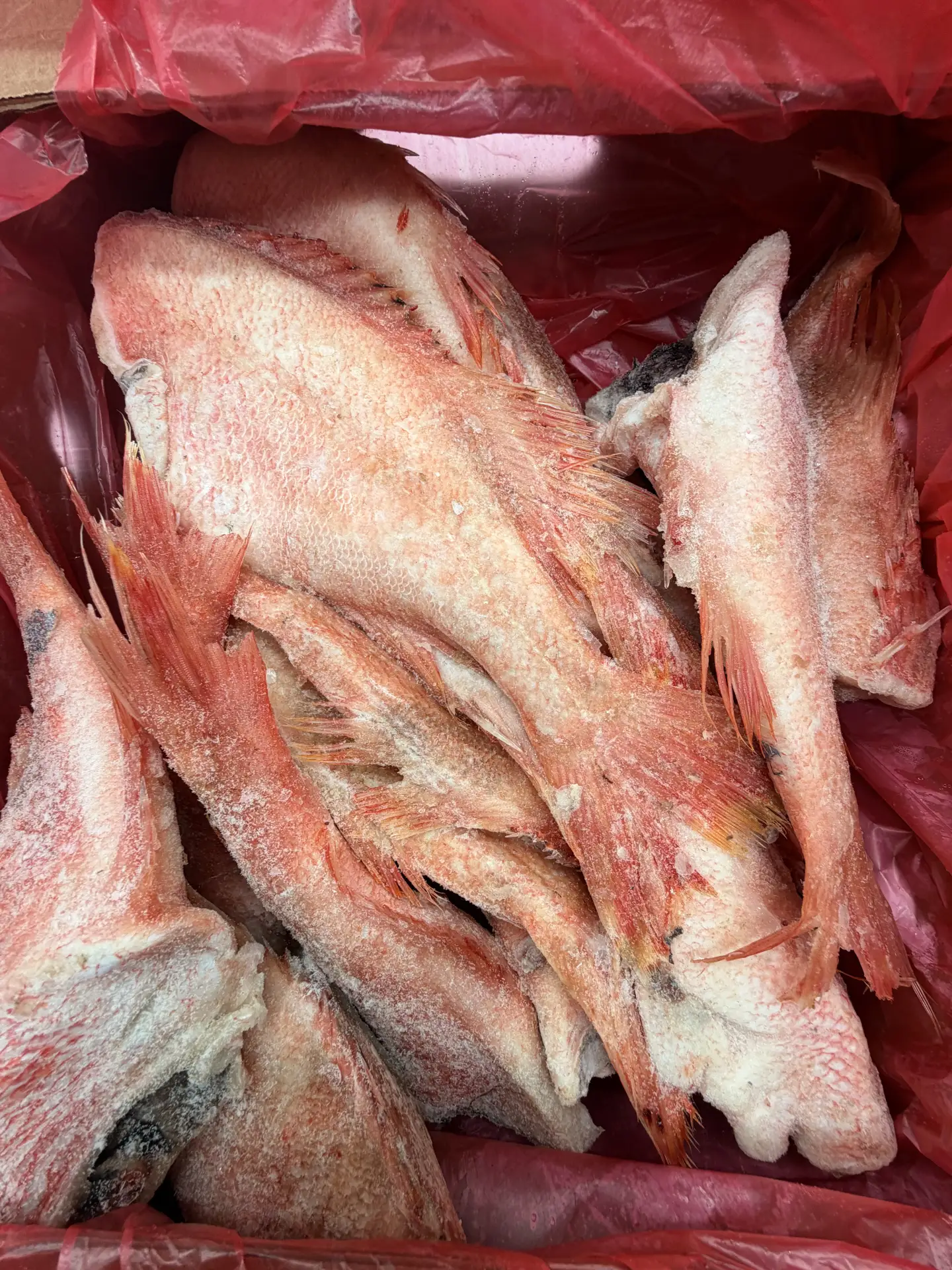 🔥🐟 НОВИНКА! СВЕЖИЙ ПРИВОЗ! 🐟