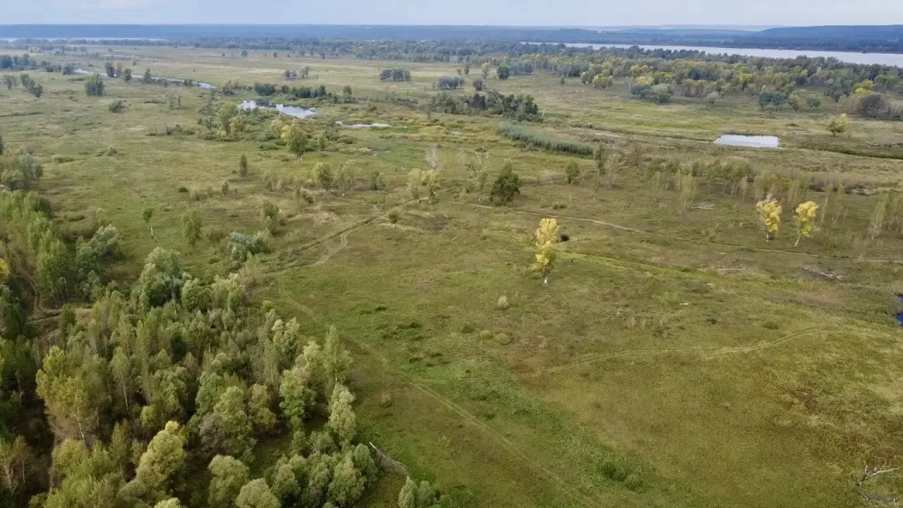Доброе утро, друзья!