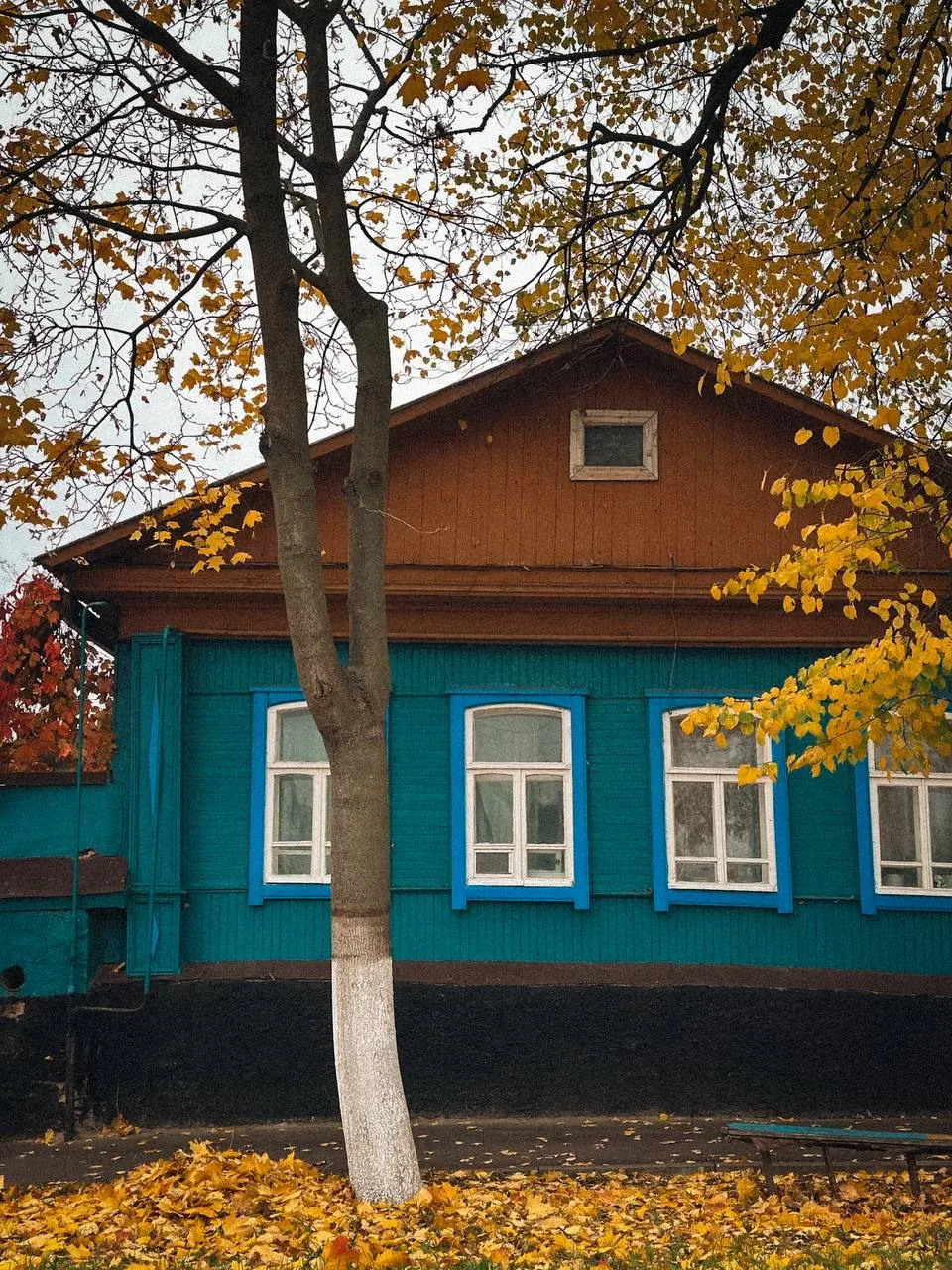 Как много красивого вокруг даже там, где мы этого совсем не замечаем 🍁🍂