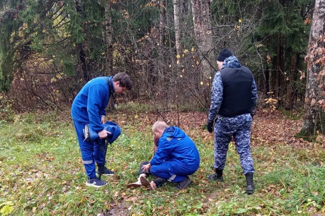В Пушкине 62-летняя женщина серьёзно пострадала, отправившись в парк за грибами.