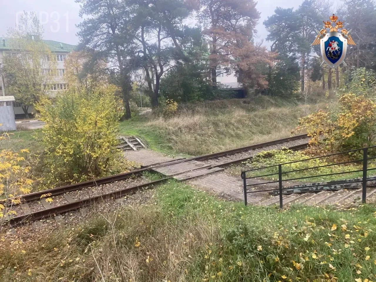 ⚡️В Шебекино следователями регионального управления СК России возбуждено уголовное дело...