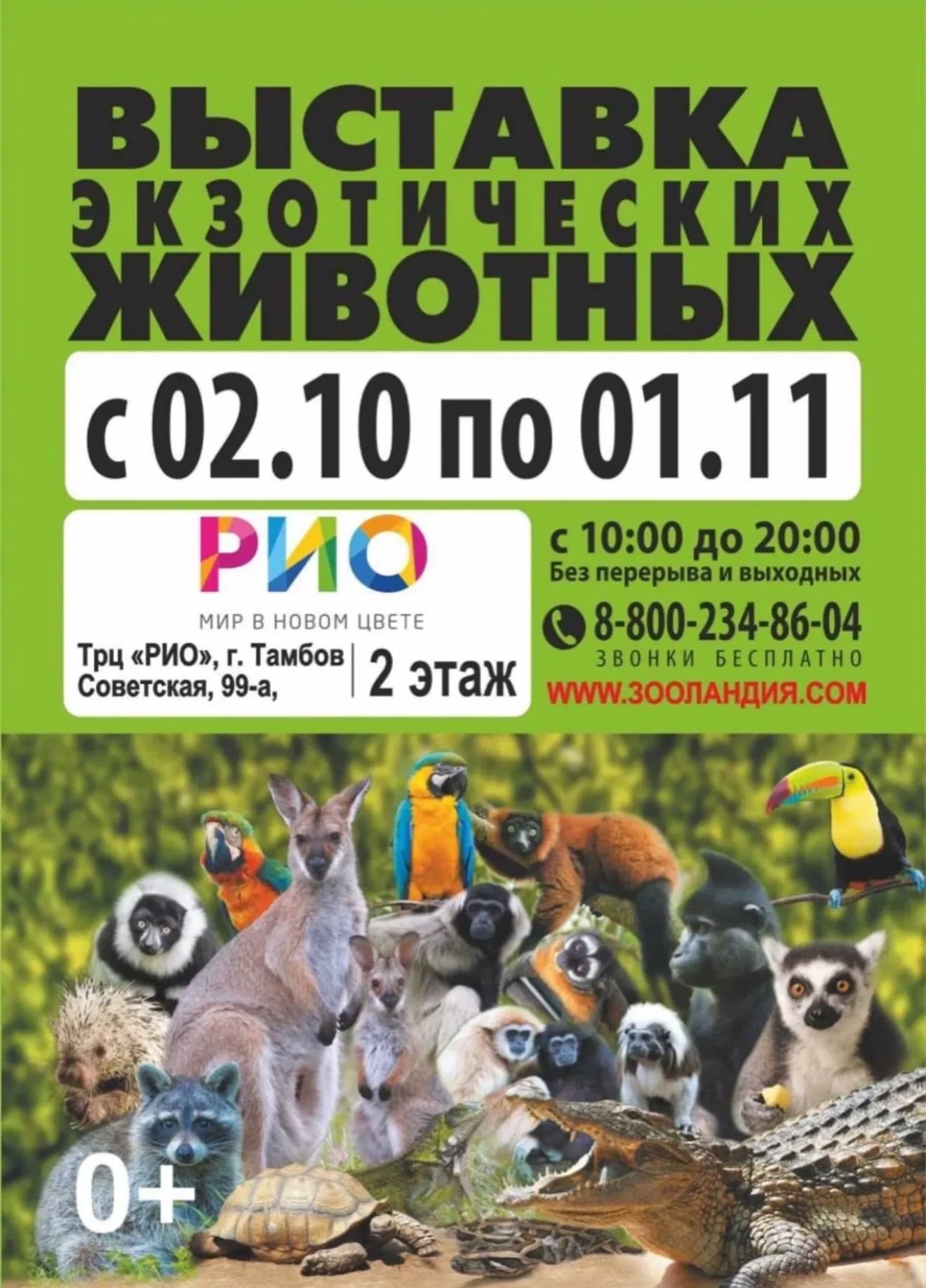 Приходи в @zooland_rus за яркими эмоциями и мега впечатлениями.