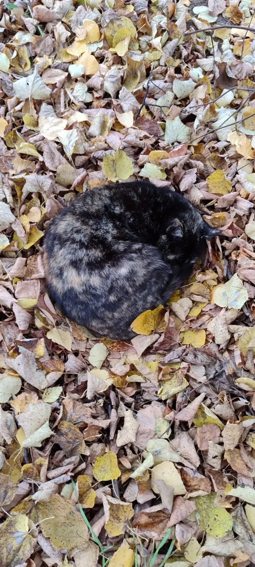 Маленькая находка утром🥰