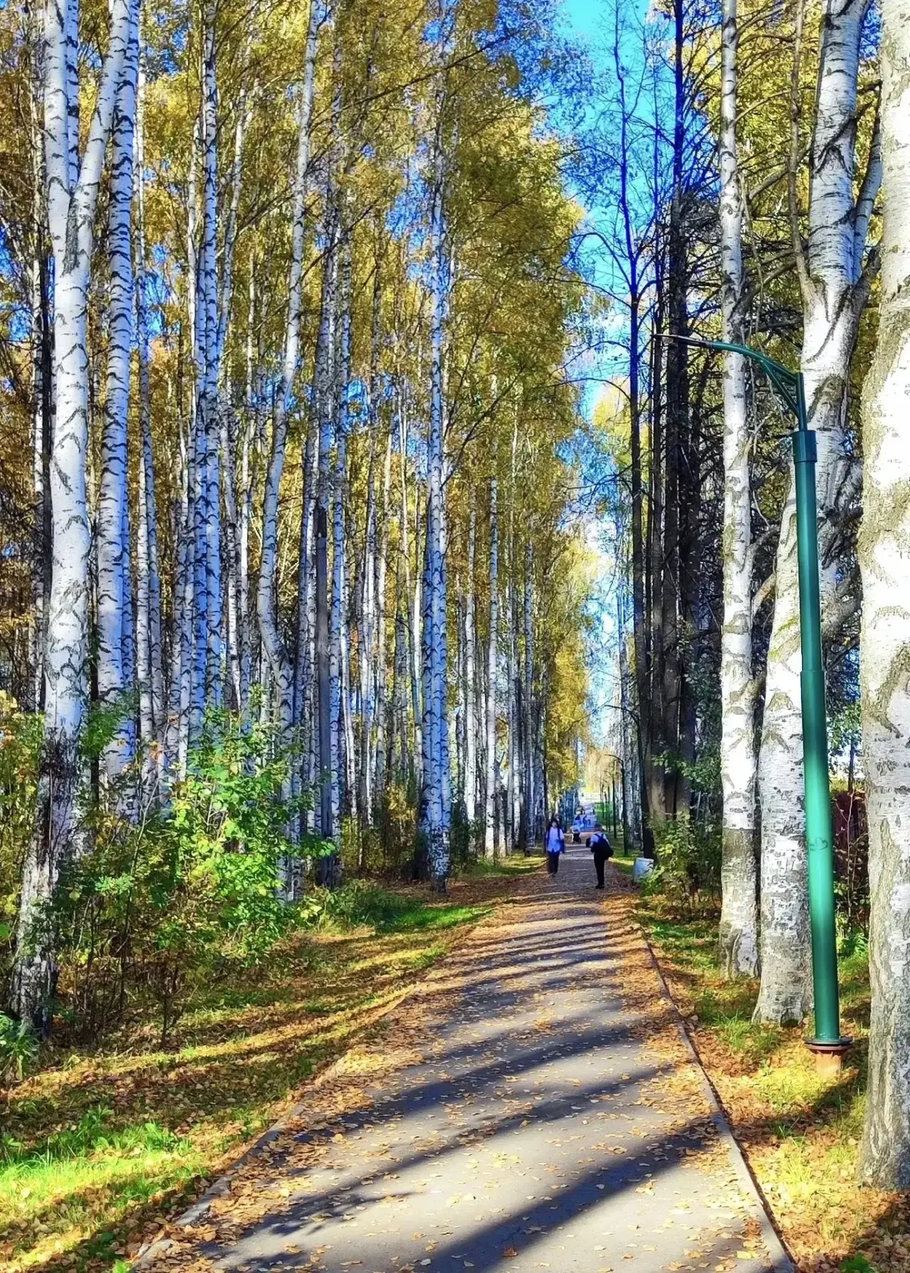 Городской парк Верещагино