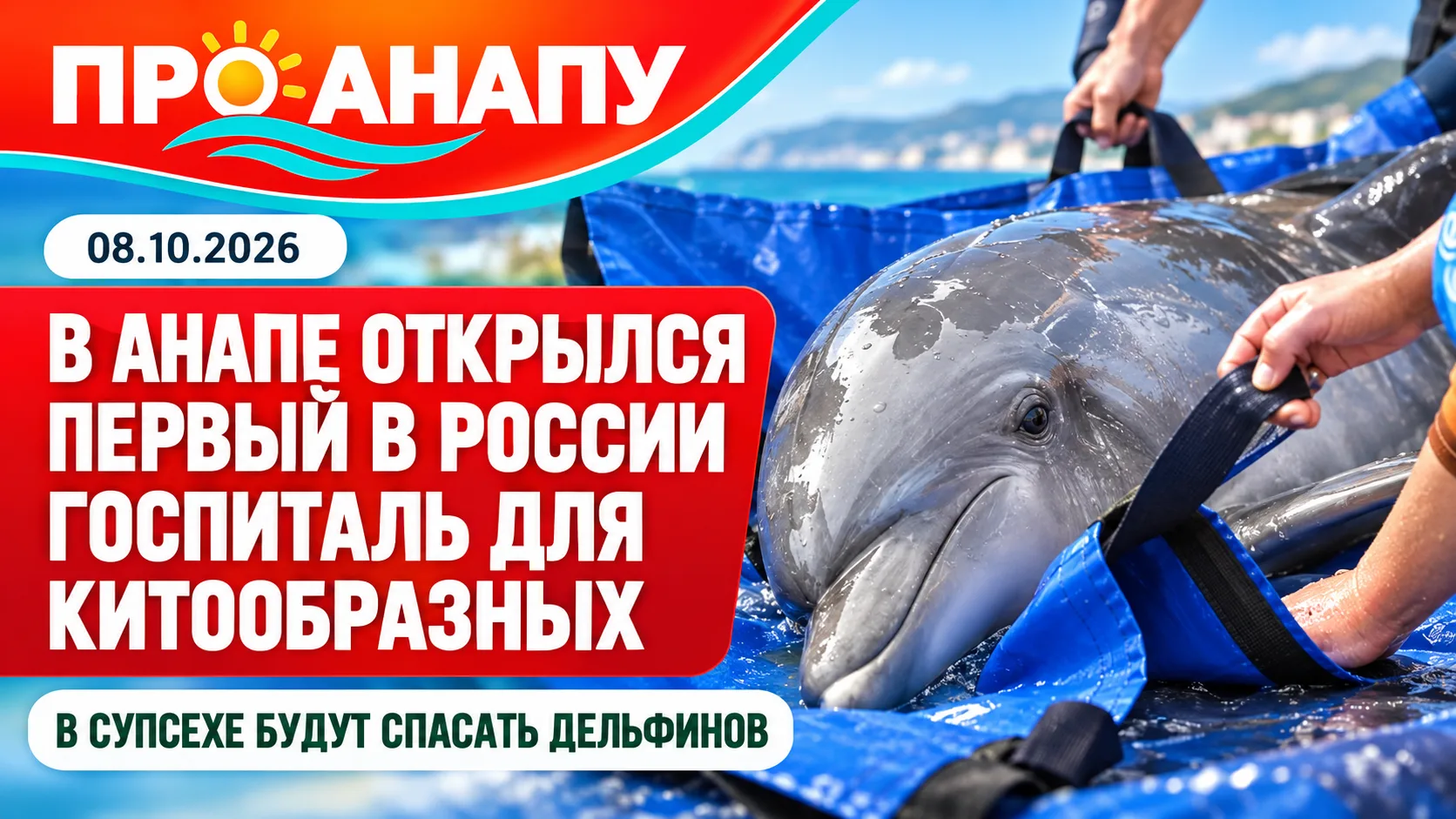 Первый в России стационар для спасения китообразных открылся в Анапе