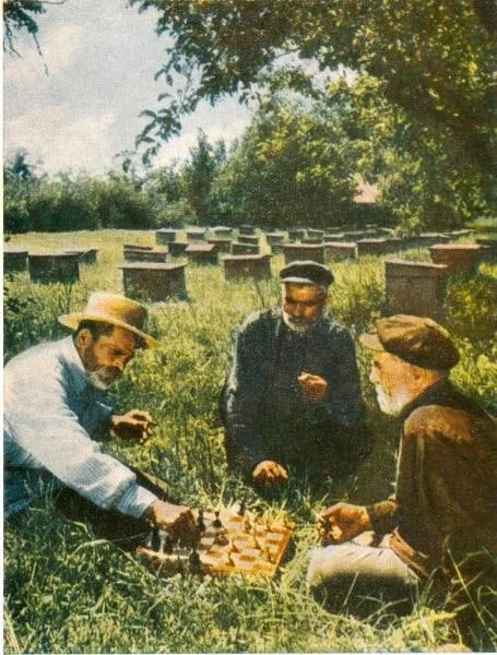 ⏳Пчеловоды отдыхают на пасеке