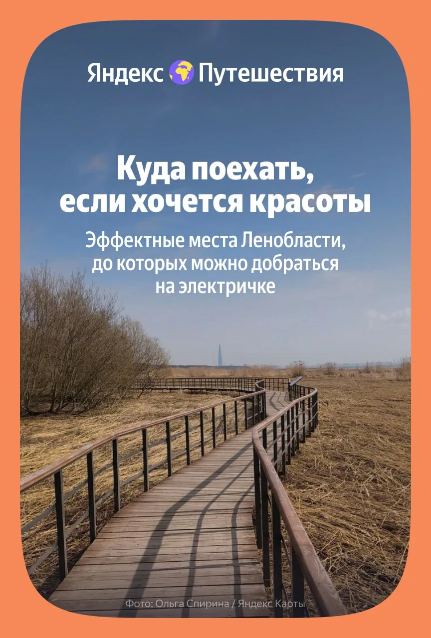Прекрасное далёко не так уж и далеко: едем в Ленинградскую область 🐦