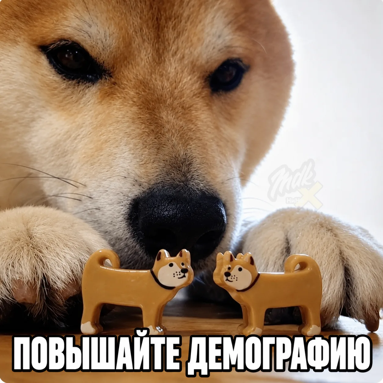 👶Рождаемость в Нижегородской области четвертый месяц подряд превышает среднероссийский...