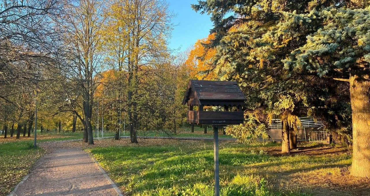 🍁 Ещё немного красивой осени из Парка 50-летия