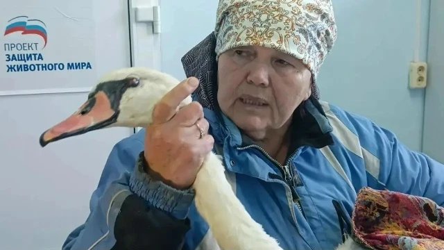 🦢В Башкиpии женщина спасла лебедя