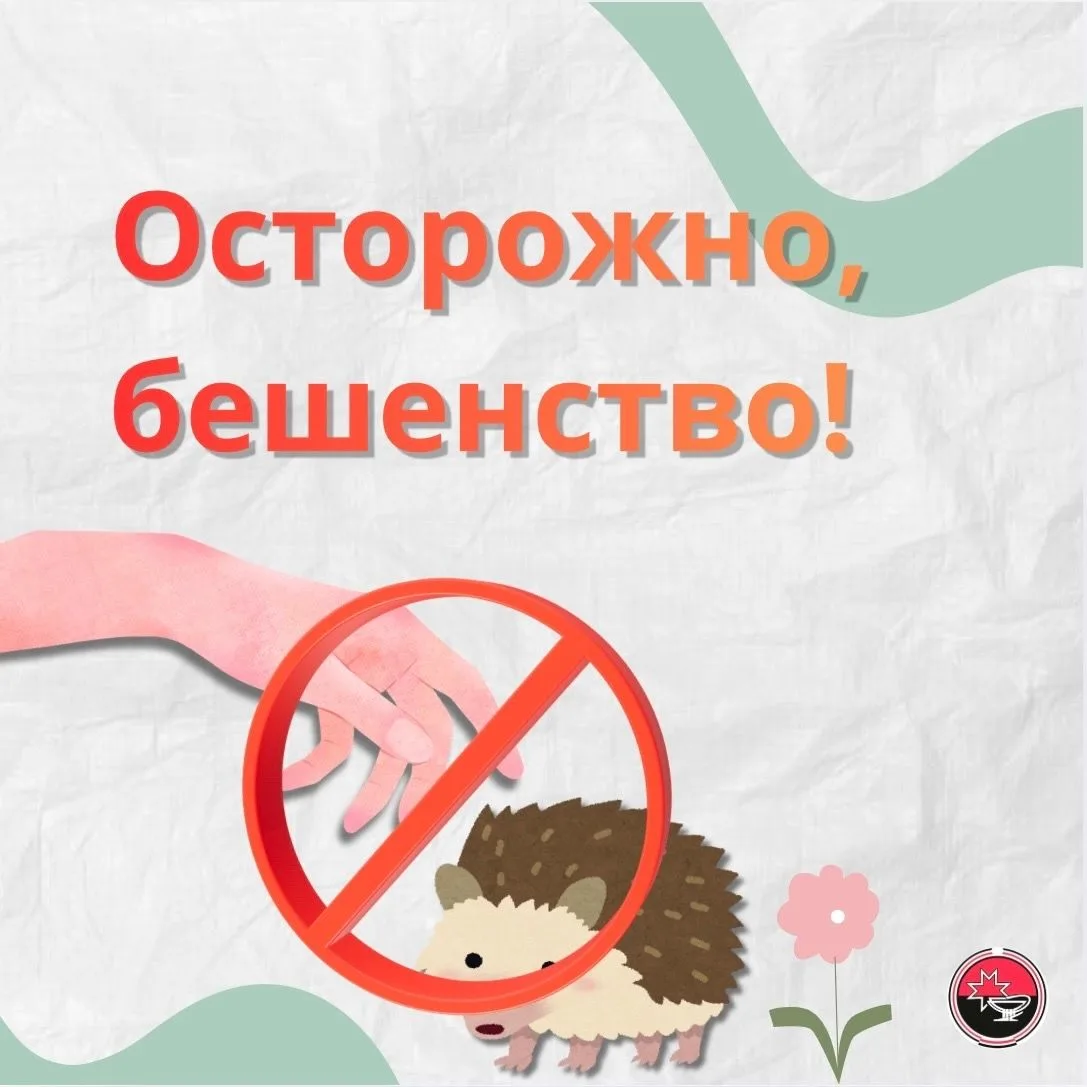 Бешенство: невидимая угроза