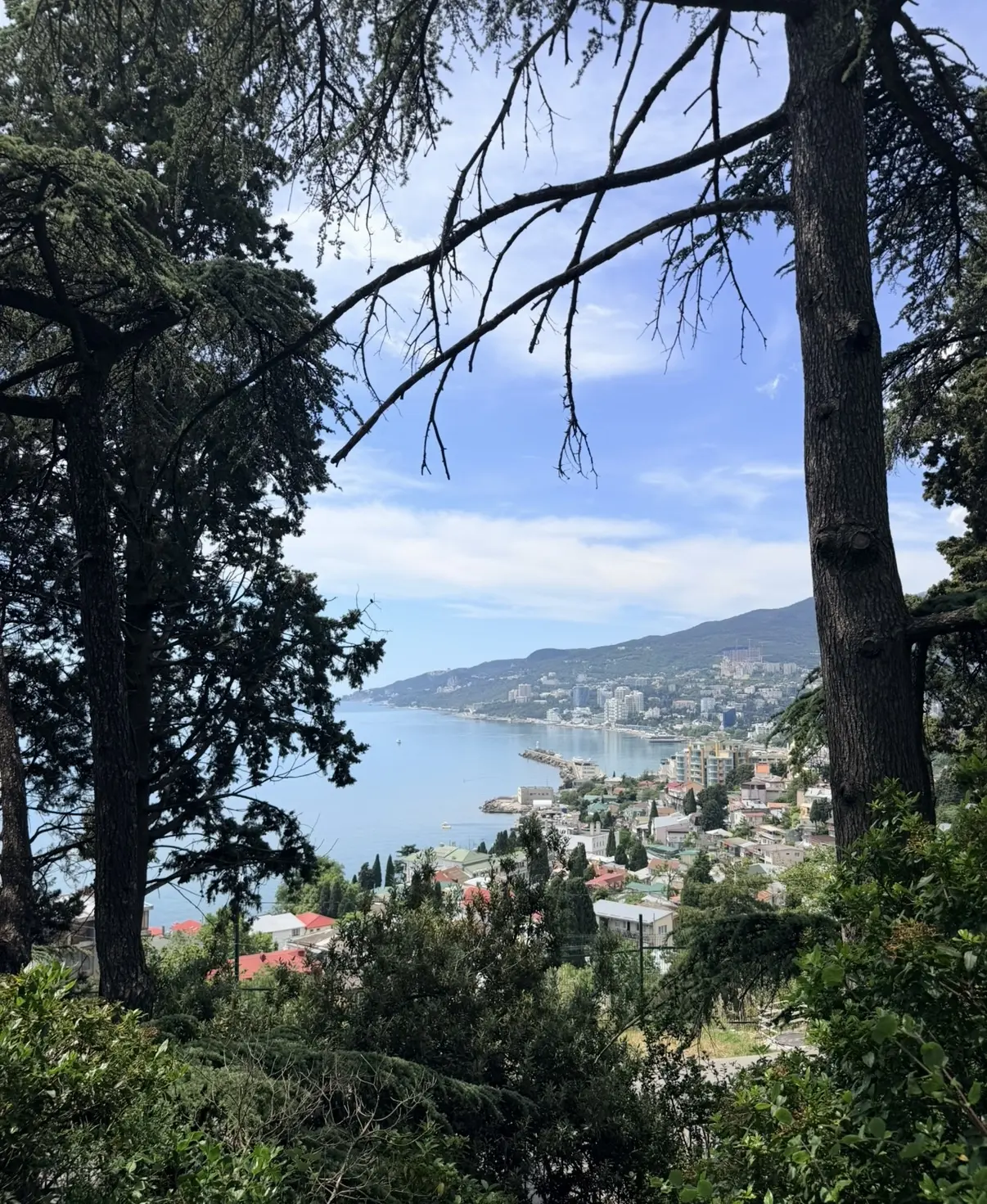 ☀️ Доброе утро, любимая Ялта!