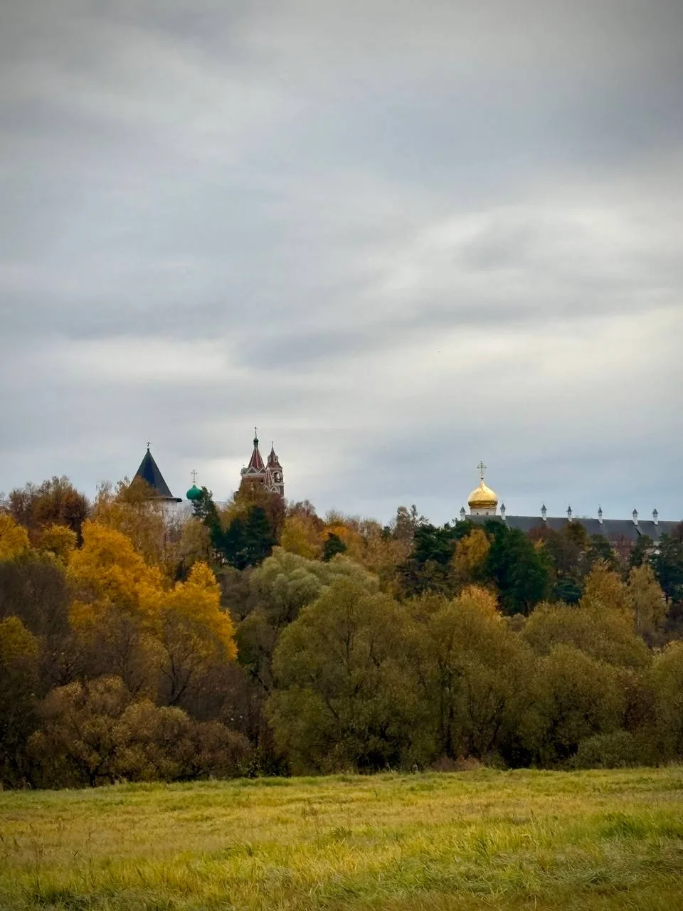 Ловите дайджест за прошедшую неделю 🍁