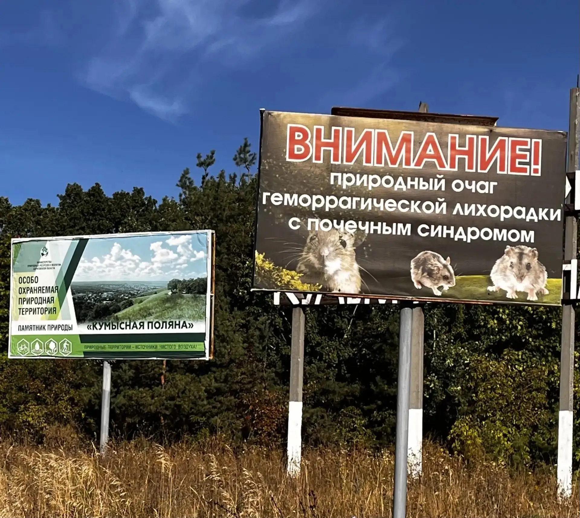 На Кумысной поляне проведут сплошную дератизацию