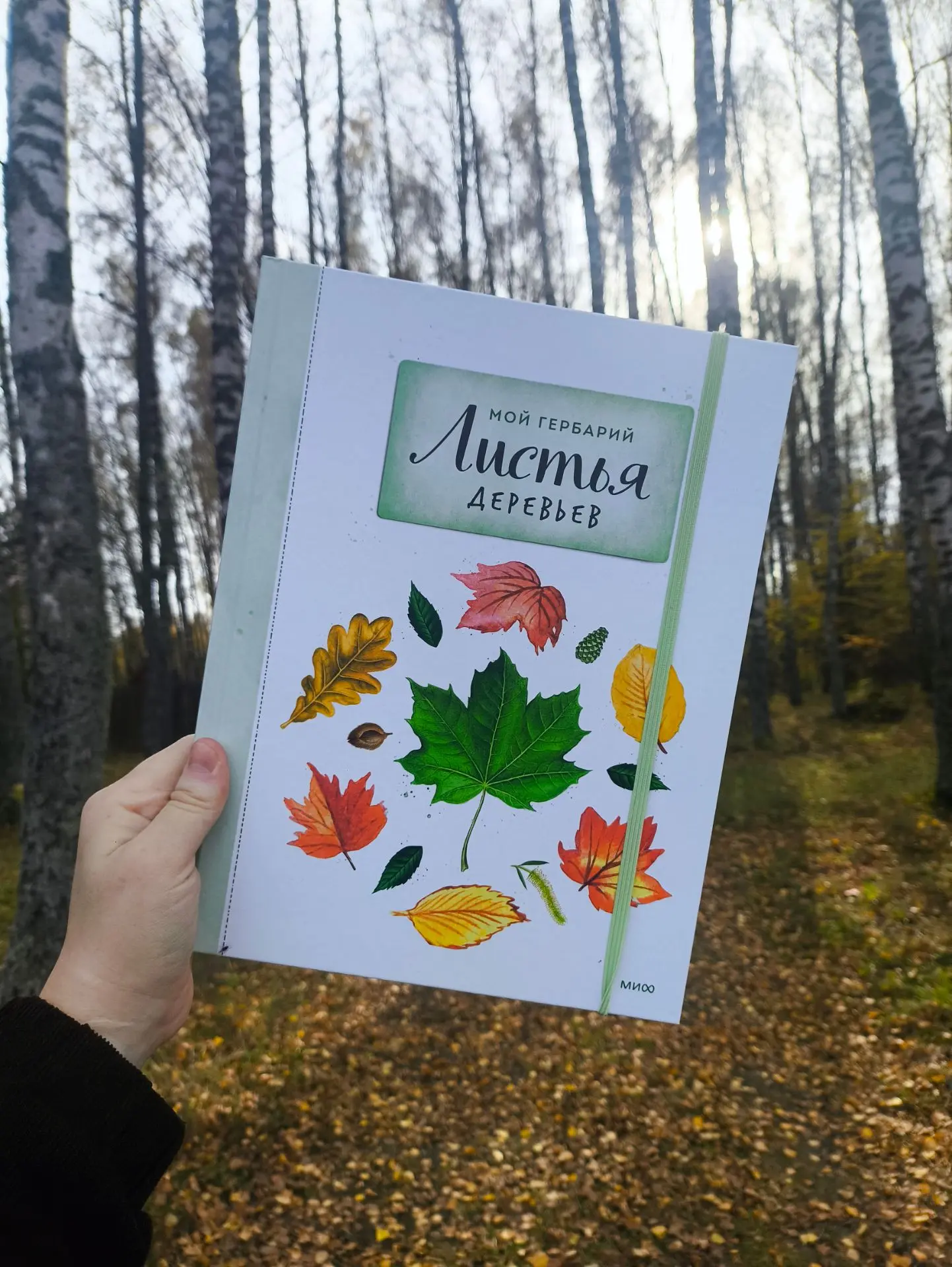 Наша дневная прогулка сегодня прошла с пользой.