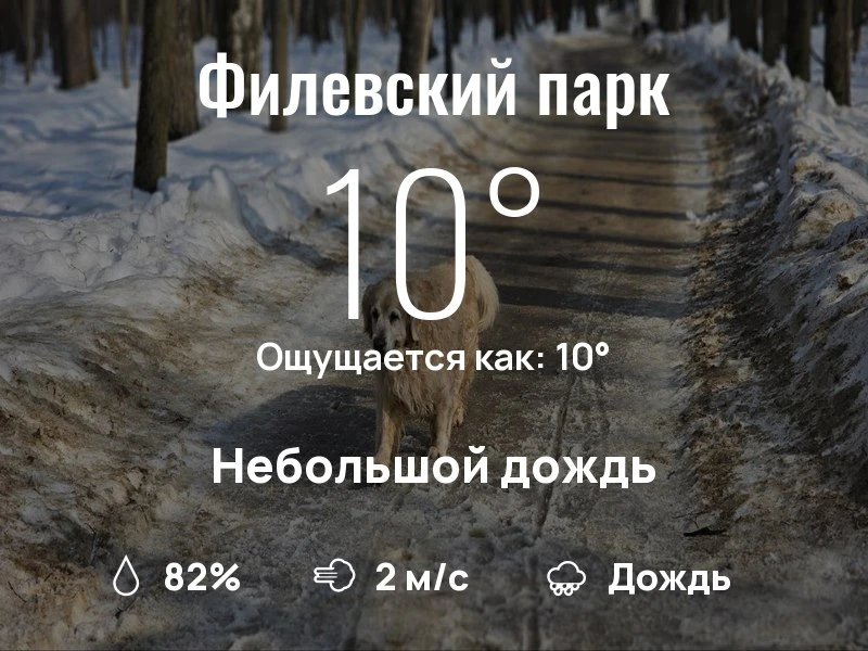 Что с погодой в Филевском парке?
